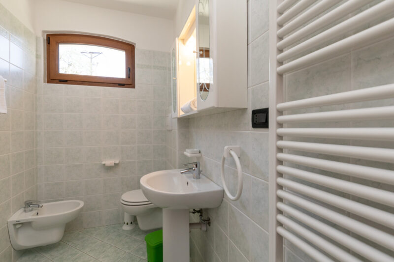 Bagno con doccia dell'Appartamento La Vigna a Malcesine